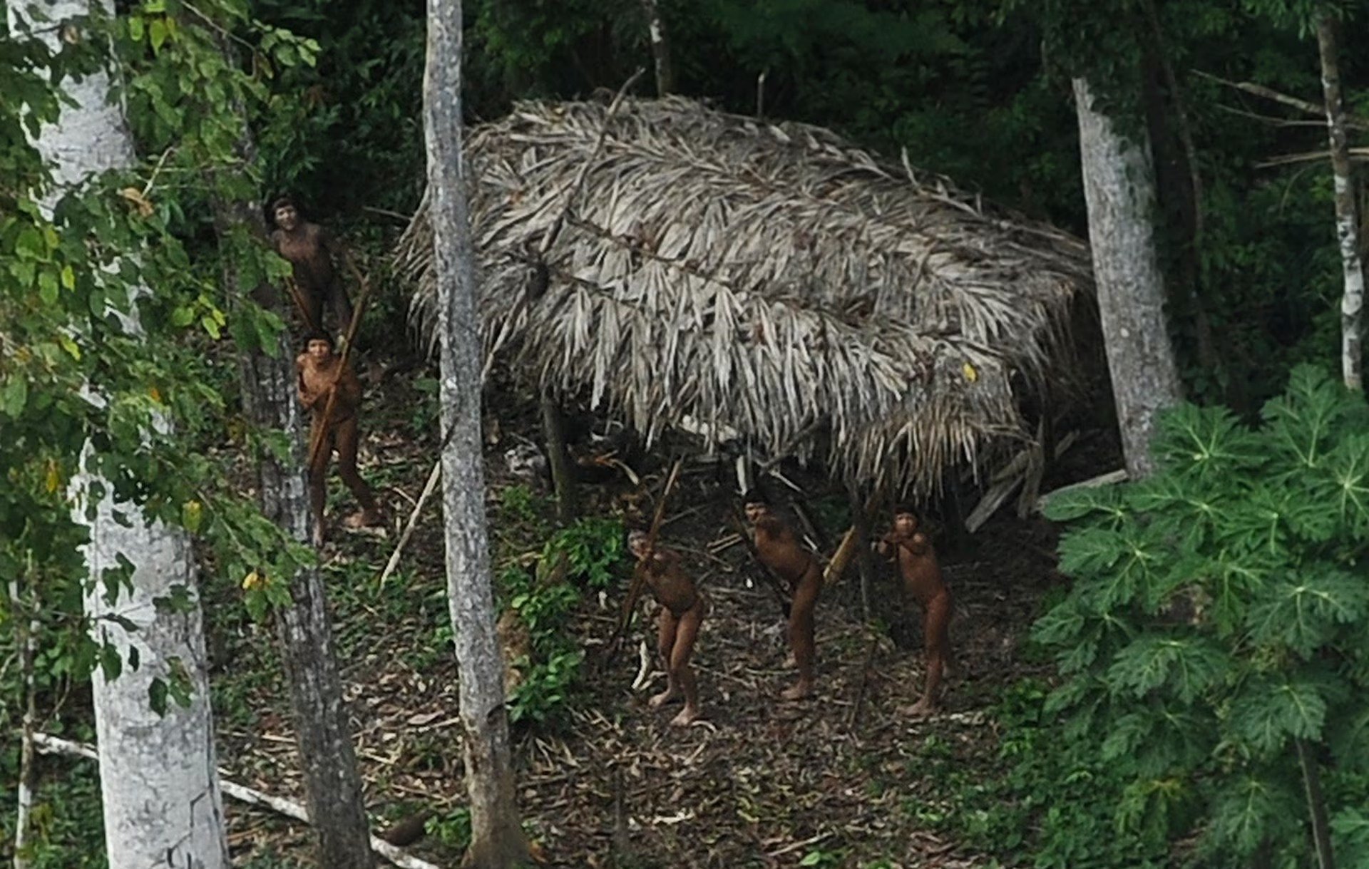 tinhte-bo-lac-chau-my-3.jpg